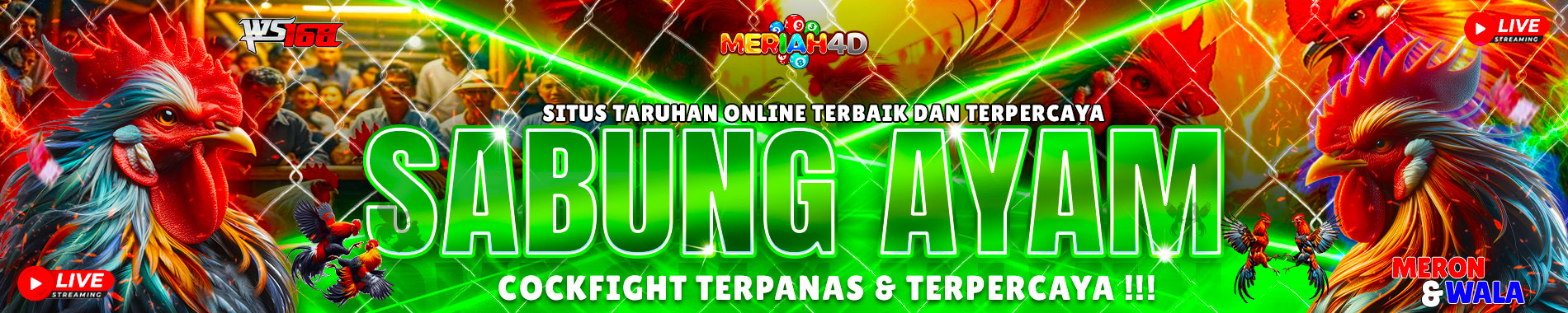 BANNER SABUNG AYAM MERIAH4D